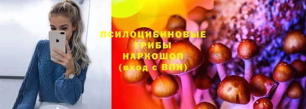 PSILOCYBIN Лиски