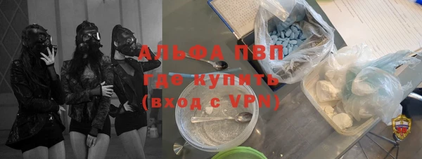 сатива Лихославль