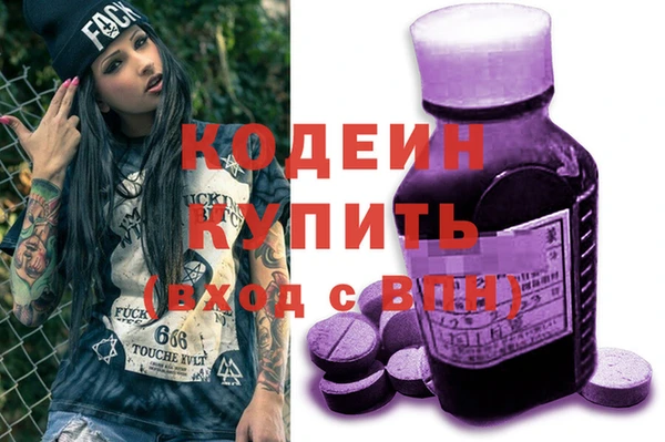 шишки Лагань