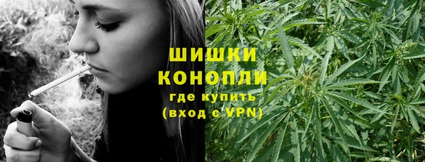 сатива Лихославль