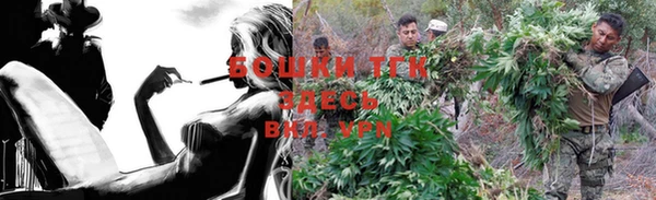 PSILOCYBIN Лиски