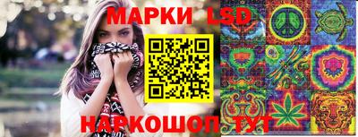 spice Гусь-Хрустальный