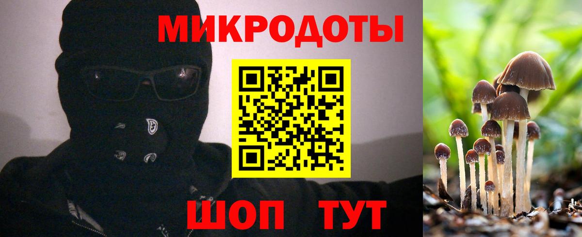Благовещенск  Галлюциногенные грибы ЛСД  Вход с VPN 
